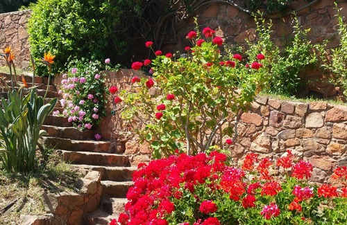 Osani Apartment | Spend exceptional holidays in a protected village , by the sea