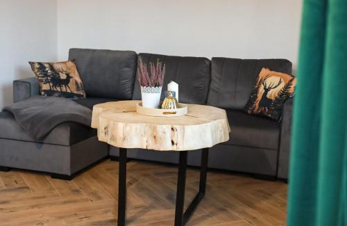 Czarny Dunajec House | Spis na Podhalu