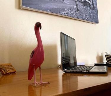 Hospital Apartment | Splendid stay in Nakuru