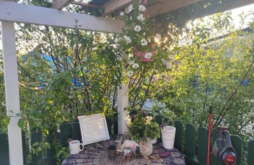 Labasheeda Other | Spooktacular Halloween Shannon Estuary Glamping Budget-Sustainable-Rustic-Countryside Holiday Accommodation