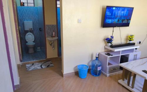 Wang'uru Apartment | Spoonbill Snug Spot BnB