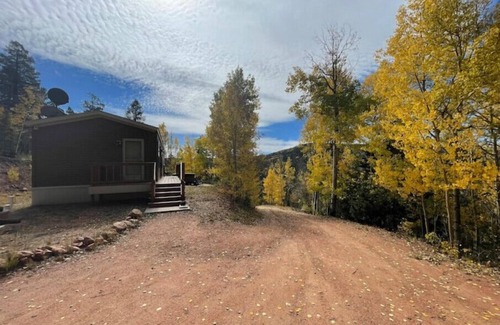 Cripple Creek Cabin | Spring Special Price Private, Romantic, Dog friendly, NEW HotTub, Hiking