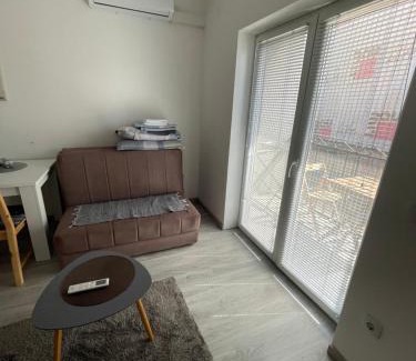 Veliko Gradiste Apartment | Srebrna oaza