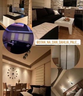 Pale Apartment | Stan na dan Dahlia Pale