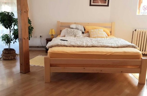 Zajecar Apartment | Stan na dan