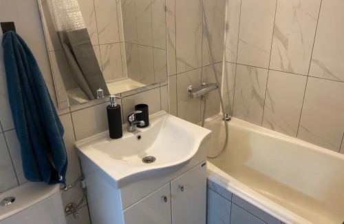 Mladenovac Apartment | Stan