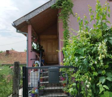 Zajecar Apartment | Stancic 019