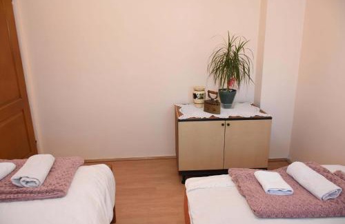 Zajecar Apartment | Stancic 019