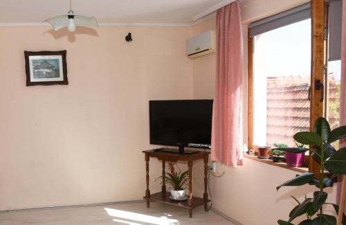 Zajecar Apartment | Stancic 019