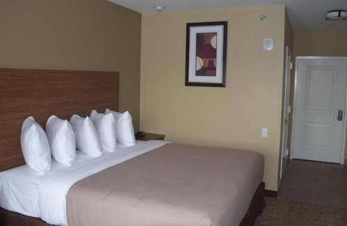 Queens House | Stay In NYC For A Bargain! Enjoy A Wonderful View Of The City From Your Window