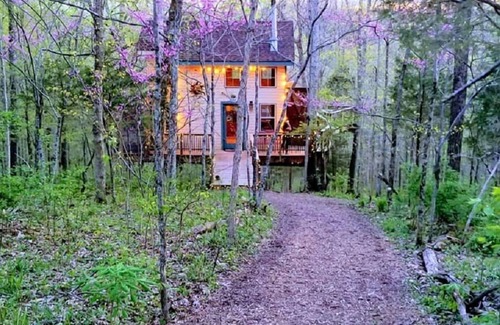Stonewall Cabin | Stay in Tree House built by TreeHouse Master Pete Nelson ~ off the grid