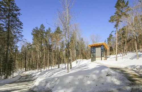 Stowe Area House | Sterling Treehouse