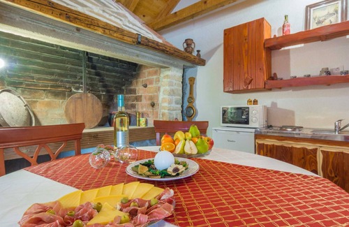 Benkovac Ski Chalet | Stone country House Irena with pool on a large property