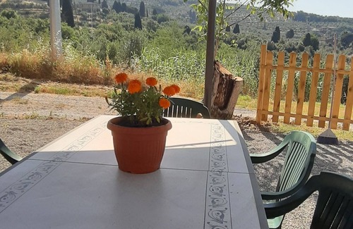 Vitolini House | stone farmhouse immersed in an olive grove owned