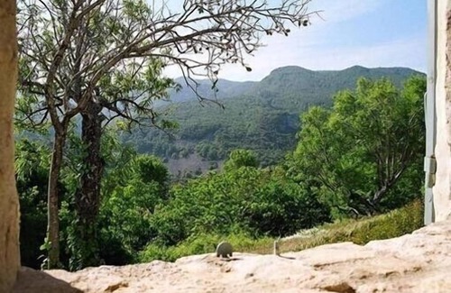 Buoux House | Stone house in truffle oaks plantation on hills of Buoux