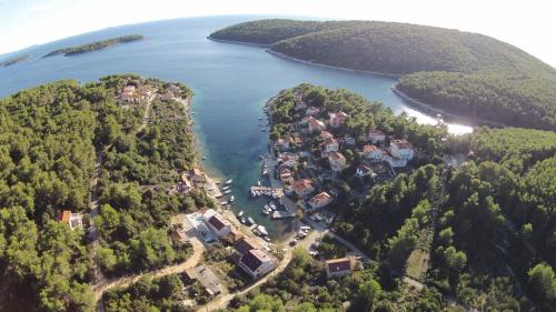 Vela Luka House | Stone House Villa Darinka