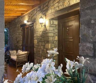 Kalavrita Ski Chalet | StoneNest Kalavryta -Luxury Stone Villa