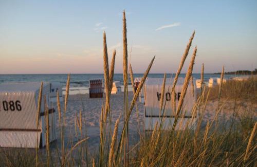 Tarnewitz Apartment | Strandhafer