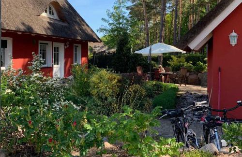 Stubbenfelde House | Strandhaus Usedom