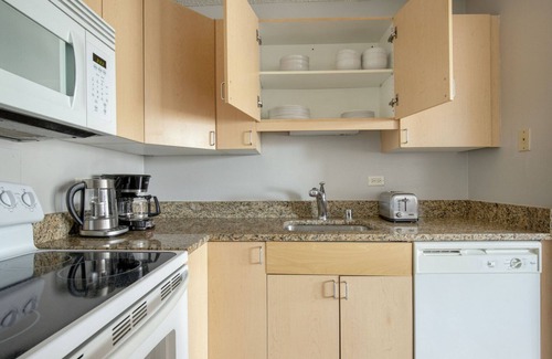 South Loop Apartment | Striking South Loop 1BR w/Rooftop, walk to Grant Park, by Blueground