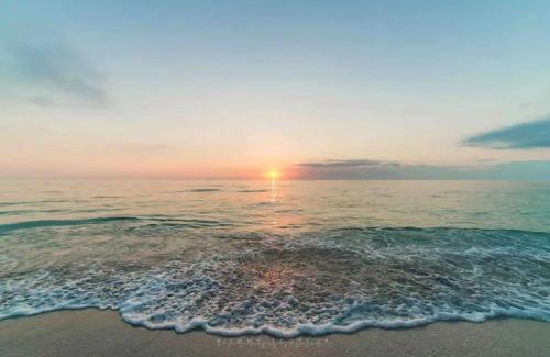 Siesta Key Apartment | Stroll to Siesta Beach from Serene Condo + (bikes)