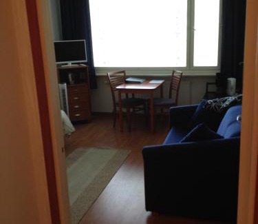 Tampere Apartment | Studio 1 Apartment Tampere