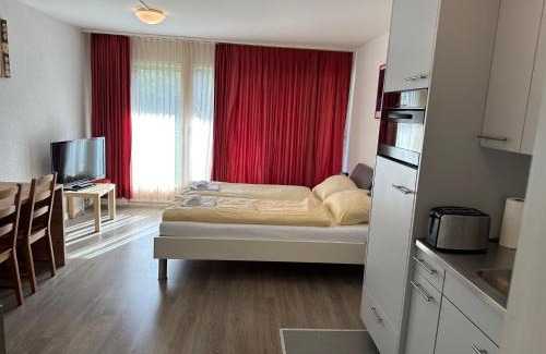 Interlaken Apartment | Studio 104 - Riverside