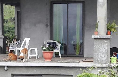 Coromandel House | Studio Amanda