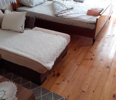 Bajina Basta Apartment | Studio apartman jelena