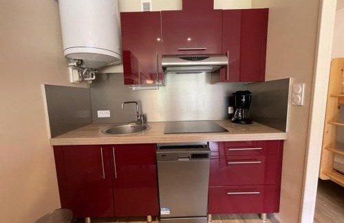 Laveissiere Apartment | Studio avec balcon, cuisine équipée et Wi-Fi au Lioran - FR-1-787-70