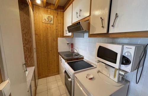 Laveissiere Apartment | Studio avec balcon en centre station, WiFi et animaux admis - FR-1-787-60