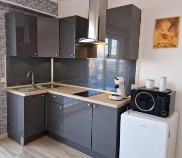 Epernay Apartment | Studio avenue de Champagne