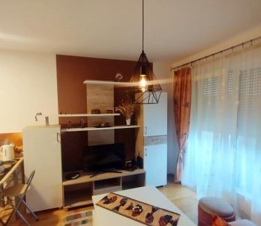 Alipasin Most Apartment | Studio - Bee Happy