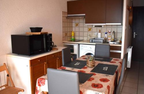 Font-Romeu-Odeillo-Via Apartment | Studio Cabine Centre-Ville avec Box Voiture et WiFi - FR-1-580-86