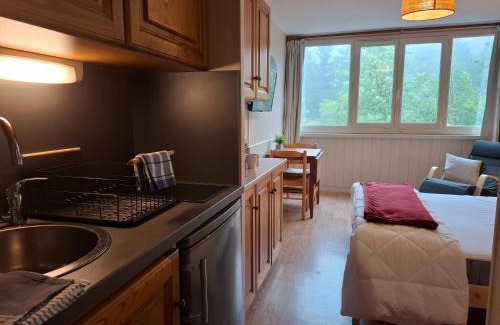 Laveissiere Apartment | Studio confortable Grand lit Queen Parking