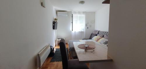 Vrnjacka Banja Apartment | Studio Dunja