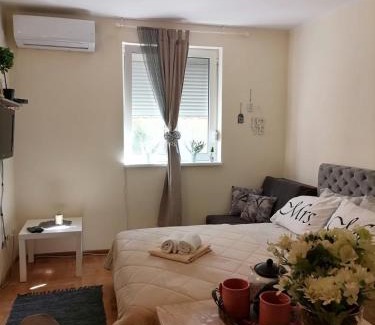 Vrnjacka Banja Apartment | Studio Dunja