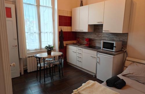 Chatel-Guyon Apartment | Studio Grand hôtel Châtel Guyon