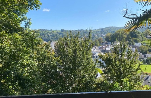 Bagneres-de-Bigorre Apartment | Studio in a bucolic setting, mountain view, terrace and fireplace