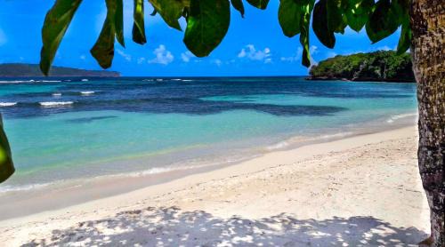 Las Galeras Apartment | Studio Lotte - Ocean Front