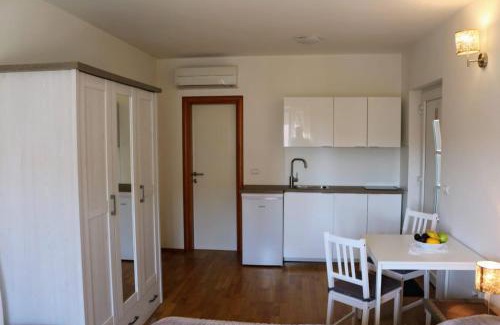 Rovinjsko Selo Apartment | Studio Rose