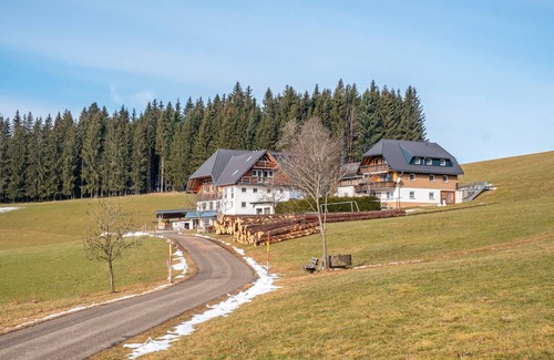 Titisee-Neustadt Apartment | Studio 'Talblick' with Mountain View, Shared Terrace and Wi-Fi