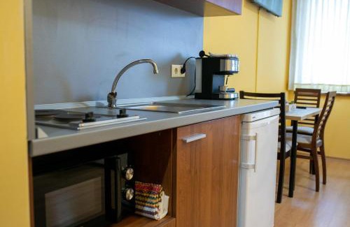 Borovets Apartment | Studio Villa Park 325
