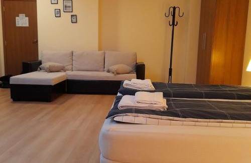Borovets Apartment | Studio Villa Park 410