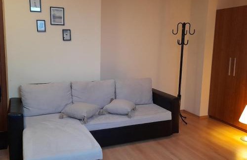 Borovets Apartment | Studio Villa Park 410