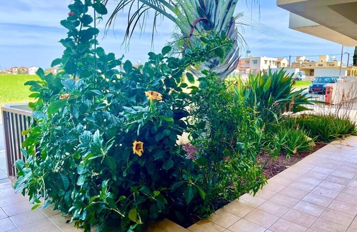 Pervolia Apartment | Stunning 1-Bed Apartment in Larnaca near the sea