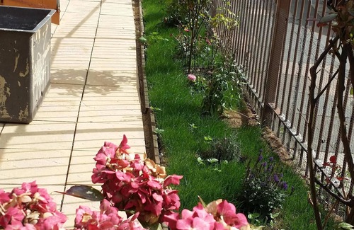 Tottenham Apartment | Stunning apartment with private garden