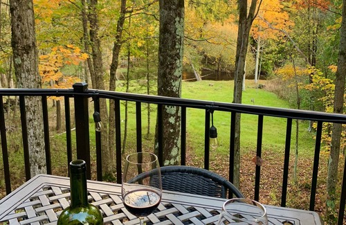 Thompsonville Cabin | Stunning Betsie River Cabin by Crystal Mtn, Game Rm, Loft, Kayaks, AC, 4.5acres!