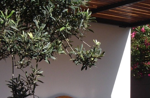Santa Luzia Cottage | Stunning Funchal Ocean & Harbour Views, Walk to Funchal, Pool, Excellent Wi-fi