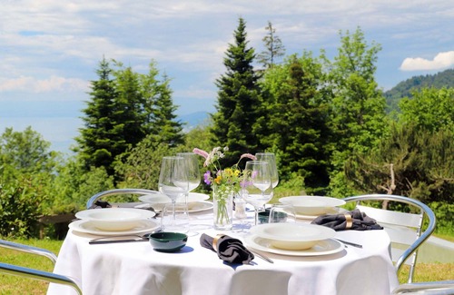 Caux House | Stunning private villa for 5 guests with WIFI, TV, terrace, pets allowed and panoramic view